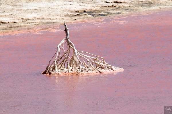 AustraliaPerth 10  087